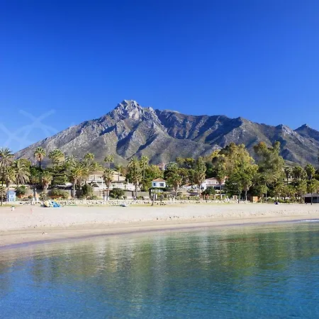 Gala En La Miilla De Oro *